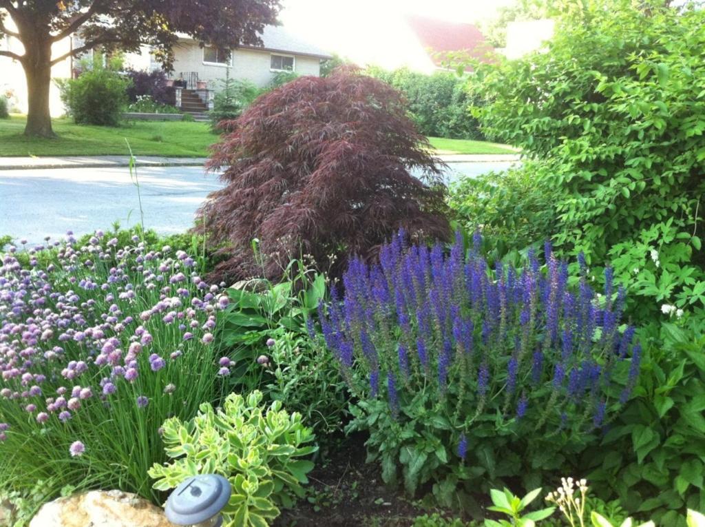 Turtle Island Bed And Breakfast Gananoque Exterior photo